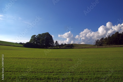 Felder und Wolken photo