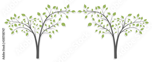 Two trees with green leaves in the form of an arch on a white background