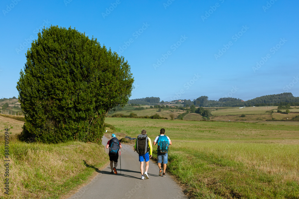 Walking in the countryside
