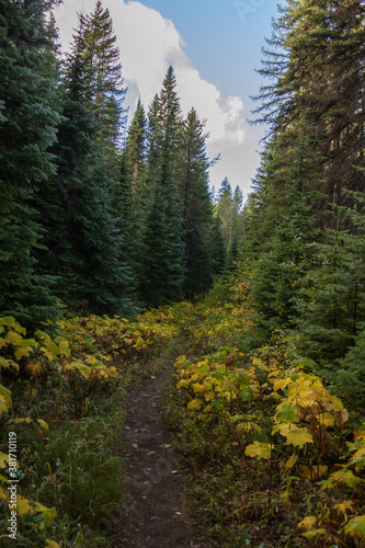 Huckleberry Trail at Glacier National Park, Montana 