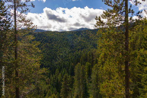 Forest and cloudscape over Glacier National Park, Montana