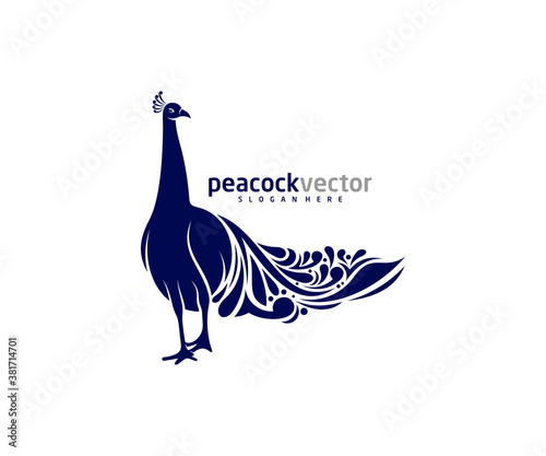 Peacock logo design vector template, Peacock bird illustration