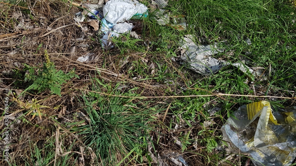 grass on the ground. Garbage dump in the environment to nature. Forest ecology pollution grass on the ground. Garbage dump in the environment to nature. Forest ecology pollution