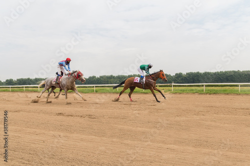 racetrack horse racing jockey approaching the finish line, sports with horses, riding a stallion