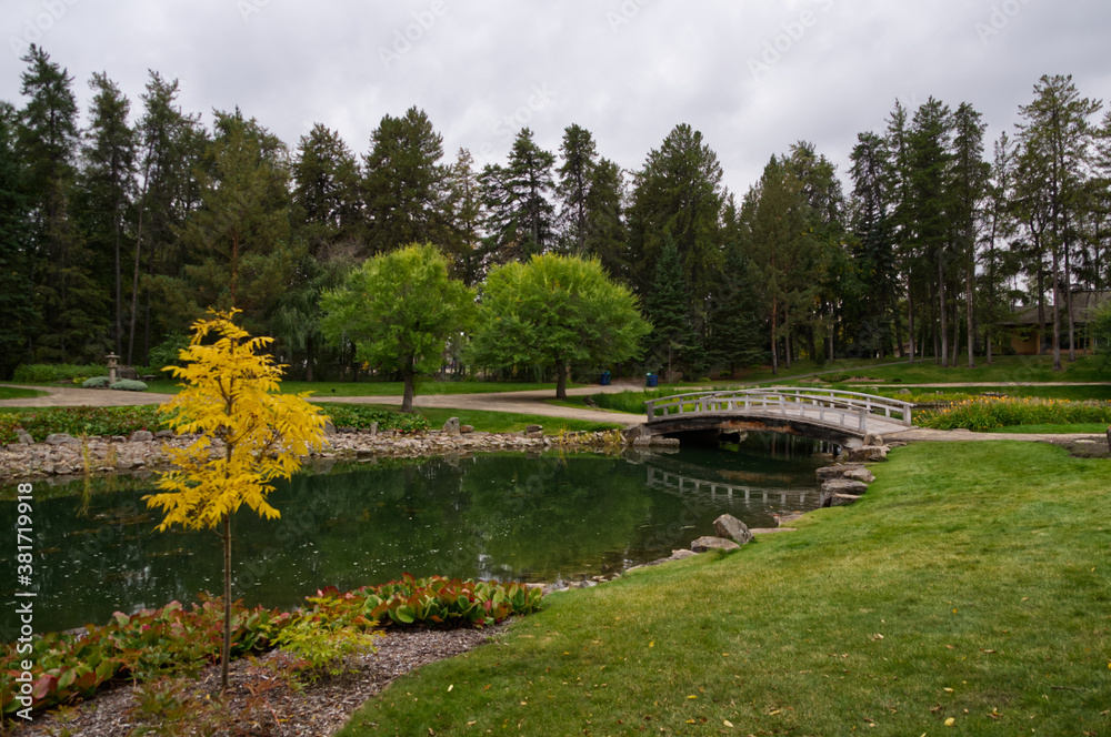 A Beautiful Garden with a Pond A Beautiful Garden with a Pond