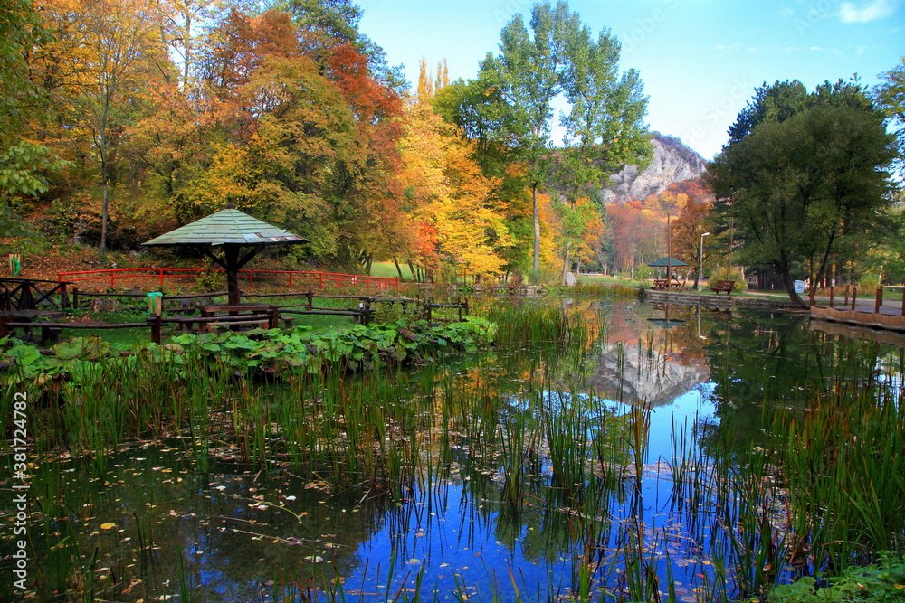 Beautiful swampy lake in the forest, Soko Banja, Serbia