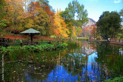 Beautiful swampy lake in the forest  Soko Banja  Serbia