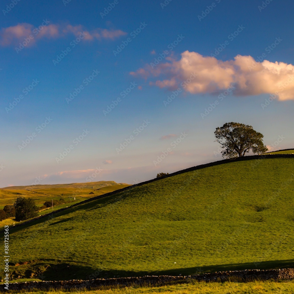 Fototapeta premium Yorkshire Dales