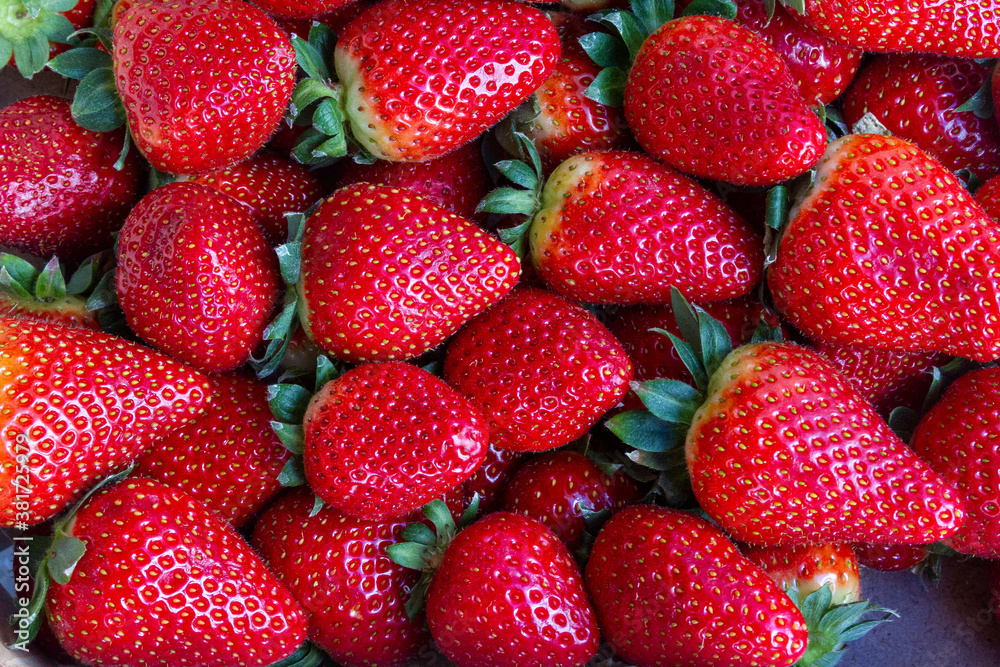 Erdbeeren Erdbeeren
