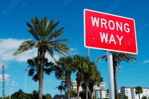 Wrong Way street sign alert, road warning on red color, with palm trees and buildings background, on blue clear sky sunny tropical day photo