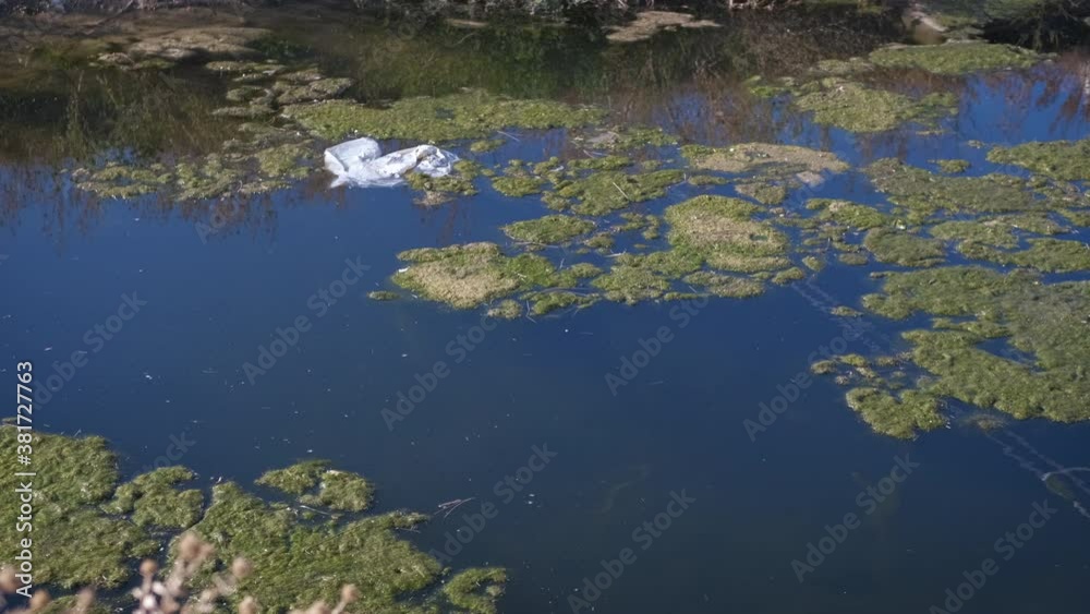 Water pollution. Ecological catastrophe of water bodies. Water pollution. Ecological catastrophe of water bodies.
