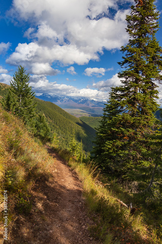  Huckleberry Trail at Glacier National Park  Montana