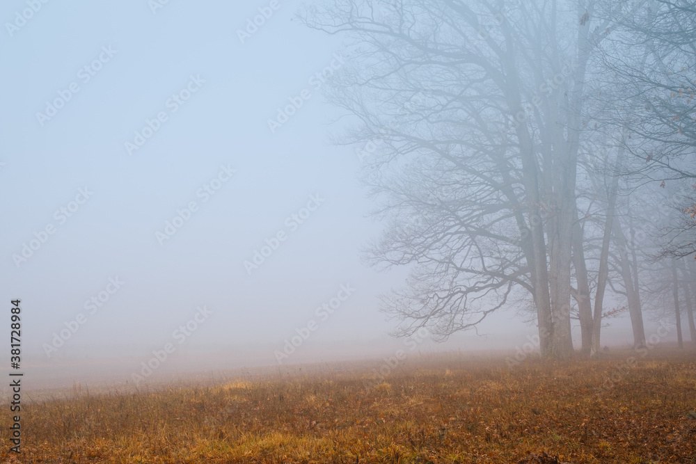 Foggy winter morning on the Gettysburg National Military Park in Gettysburg, PA, USA.