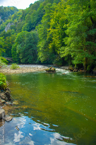 mountain river in the forest