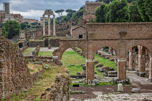 Photography Scenic view of ancient roman ruins in the Forum Romanum