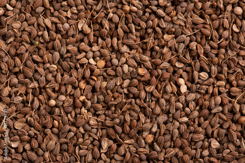 Canvas-taulu Anise seeds close up