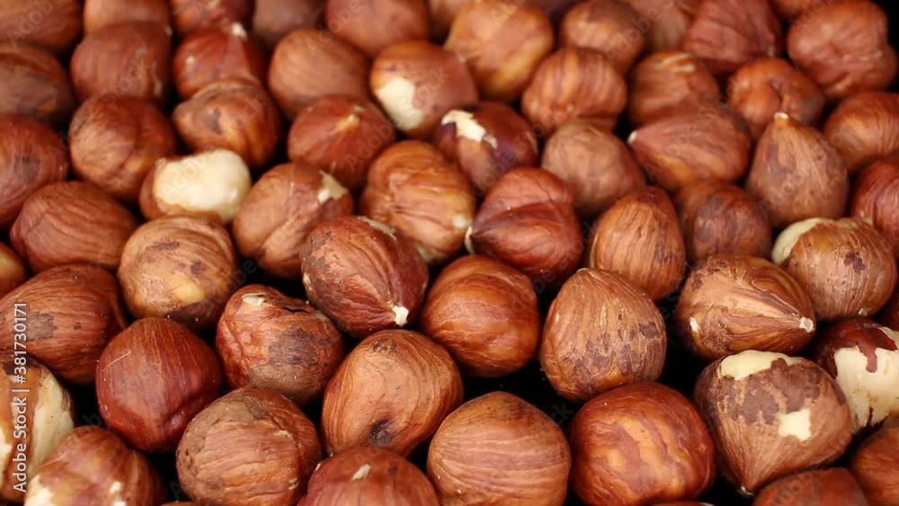 Hazelnut Hazelnuts Texture Closeup Video Seamless Looping Hazelnut Hazelnuts Texture Closeup Video Seamless Looping