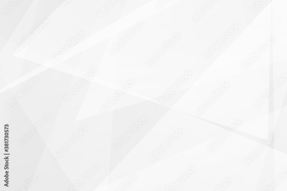 Fototapeta premium Abstract white and grey on light silver background modern design. Vector illustration EPS 10.