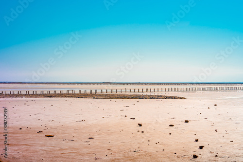 Wooden poles on the salt lake with rose water  Crimea