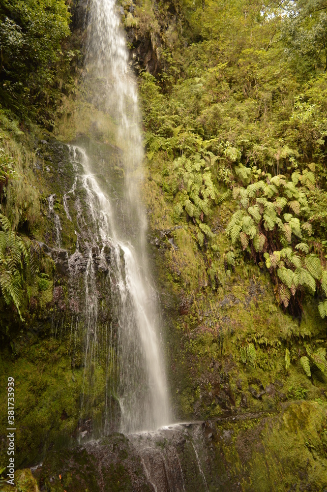 Hiking on the green paths of the levadas and waterfalls on Madeira Island in Portugal