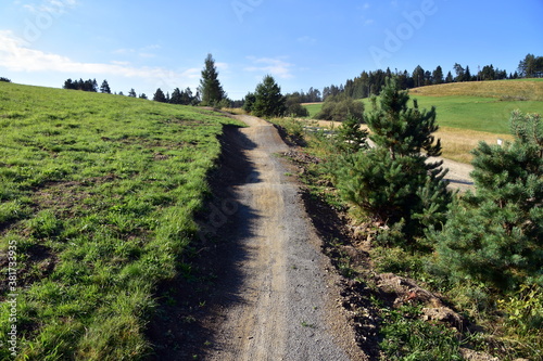 Single track lub singletrack ścieżki rowerowe w Krynicy Zdrój photo