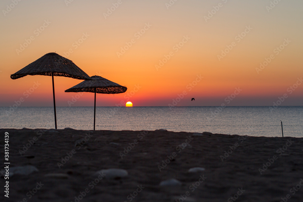 wicker umbrellas and a bird on the beach at sunset wicker umbrellas and a bird on the beach at sunset