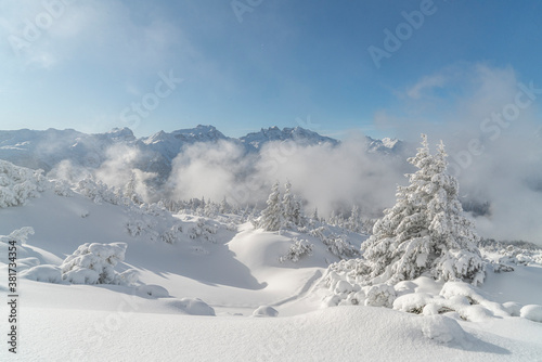 Wallpaper Mural Winterurlaub in den Bergen Torontodigital.ca