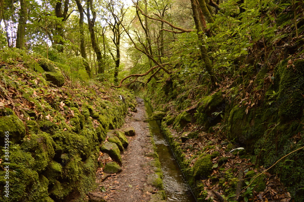 Hiking along the coast, in the mountains and along the levadas of Madeira Island in Portugal Hiking along the coast, in the mountains and along the levadas of Madeira Island in Portugal