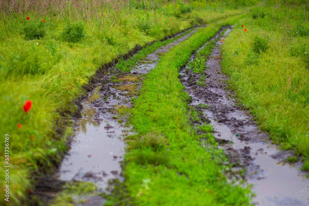 Mud track from a car among a green field after rain Mud track from a car among a green field after rain