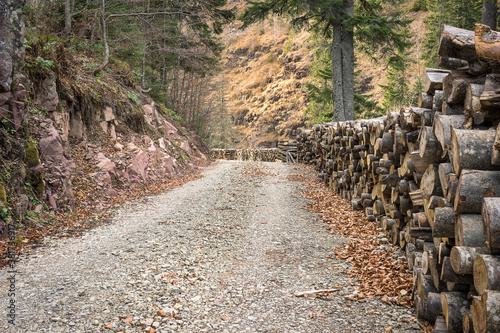 Piles and piles of wood for heating next to the gravel mountain road cut and ready to be transported photo