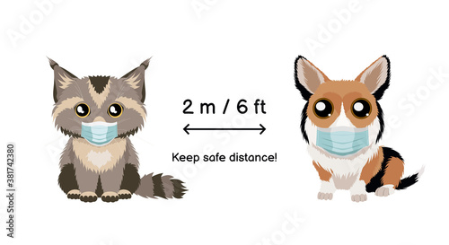 Keep safe distance two meters or six feets.  Coronavirus infection spreading prevention information sign with animals wearing protective face masks. Pembroke welsh corgi and maine coon kitten