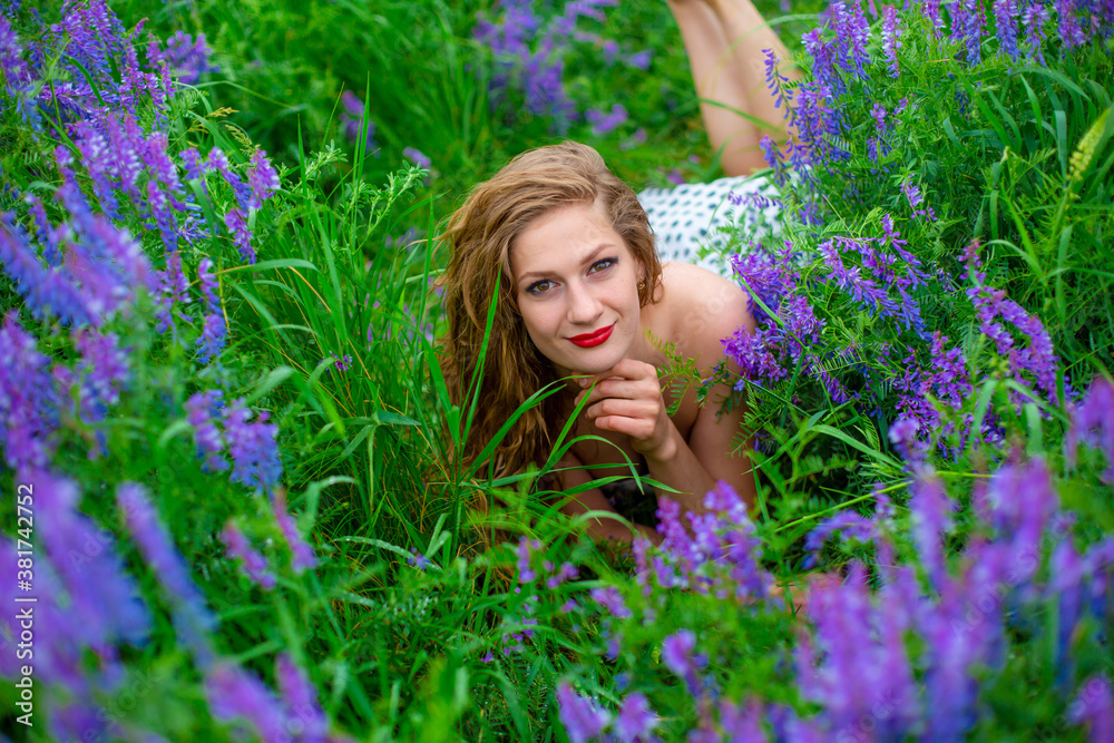Beautiful young blonde girl in a green field among purple wildflowers. Wildlife beautiful girl Beautiful young blonde girl in a green field among purple wildflowers. Wildlife beautiful girl
