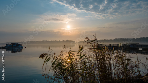 Foggy sunrise over the sea with a silhouette of the naturally growing plants near the seaside. A perfect balanced image with calm waters, fog over the water and some broken clouds. 