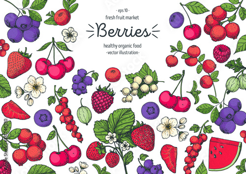 Berries drawing collection. Hand drawn berry. Vector illustration. Food design template with berry. Blueberries, strawberries, cherries, currants, cranberries, gooseberries, raspberries, watermelon