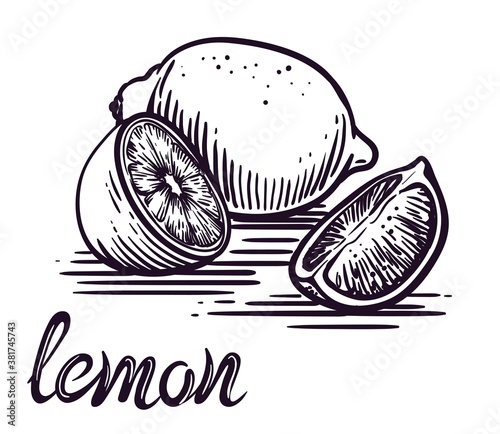 lemon and its half. vector sketch on a white