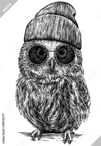 black and white engrave isolated owl vector illustration Fototapete