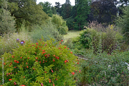 botanischer garten im schlosspark in münster, westfalen
