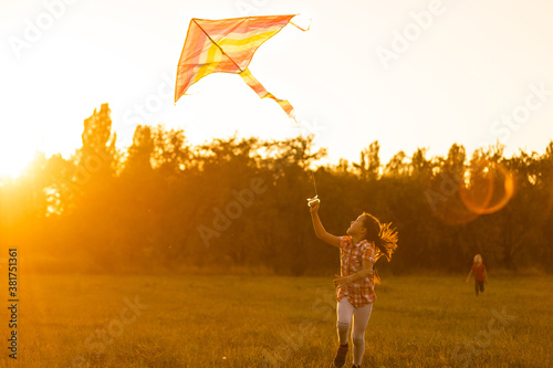 Two kids flies a kite over sunset in park photo