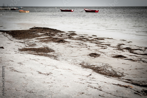 Fototapeta Naklejka Na Ścianę i Meble -  baltic sea