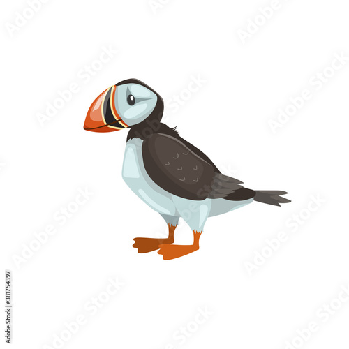 Puffin bird. Cartoon flat design. Vector illustration of arctic bird. Isolated on white background.