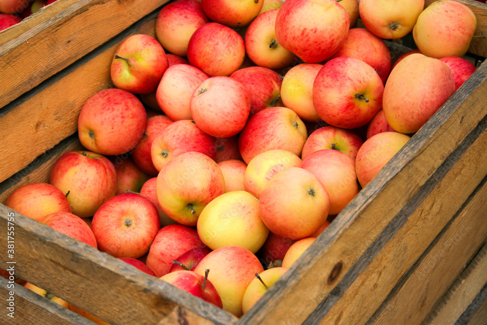 Organic apples harvest in wooden boxes in the supermarket are sorted by varieties. Wooden crate box full of fresh red and yellow apples on outside street city market. Tasty delicious apples Organic apples harvest in wooden boxes in the supermarket are sorted by varieties. Wooden crate box full of fresh red and yellow apples on outside street city market. Tasty delicious apples