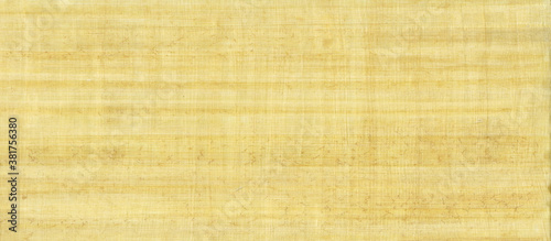 Papyrus paper old background.Egyptian paper texture.