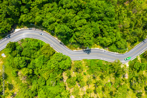 Fototapeta Naklejka Na Ścianę i Meble -  High angle view of  road pass through coconut tree forest in Khanom, Nakhon si thammarat, Thailand.
