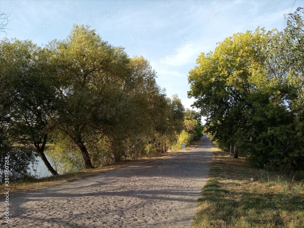 A beautiful autumn rural landscape. A sunny day. Landscape in the countryside