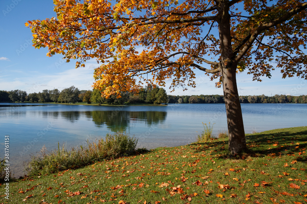 Obraz premium autumn trees on the lake
