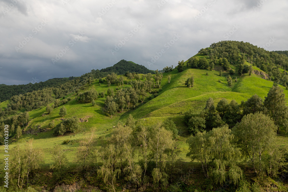 Obraz premium Mountain landscape with blue sky. Panoramic view of green hills.