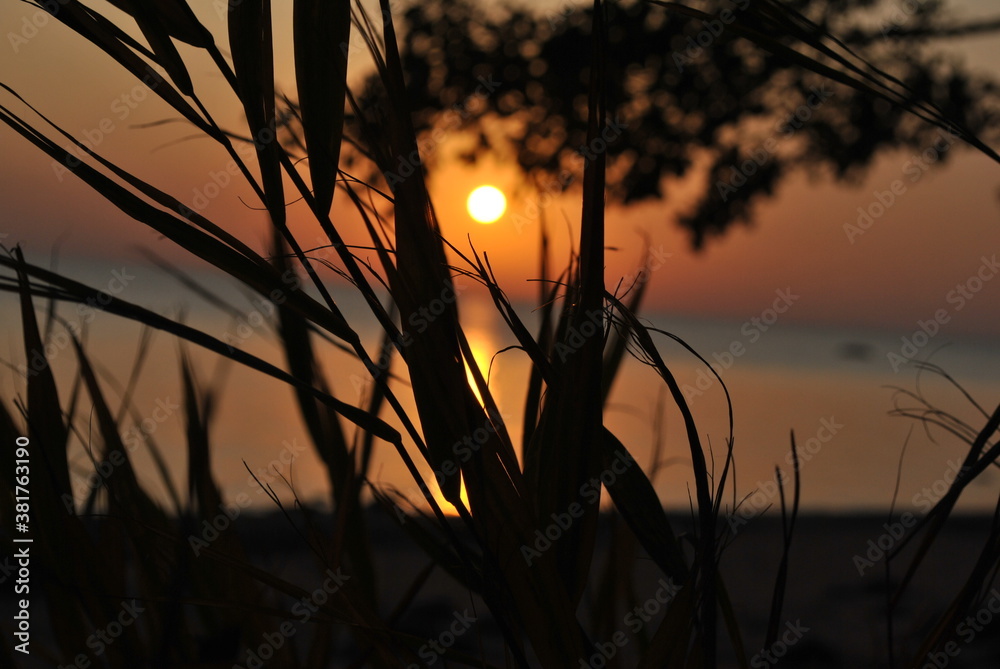 Obraz premium Evening shore at sunset. The Gulf of Finland