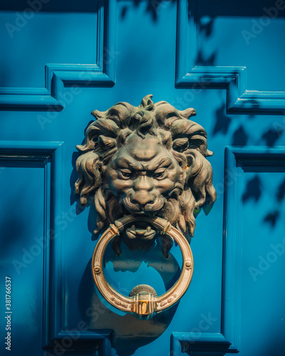 lion head knocker blue door