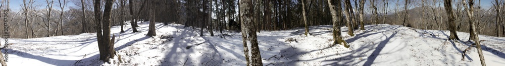 Fototapeta premium 厳冬期の丹沢山地 鉄砲沢ノ頭山頂のパノラマ写真