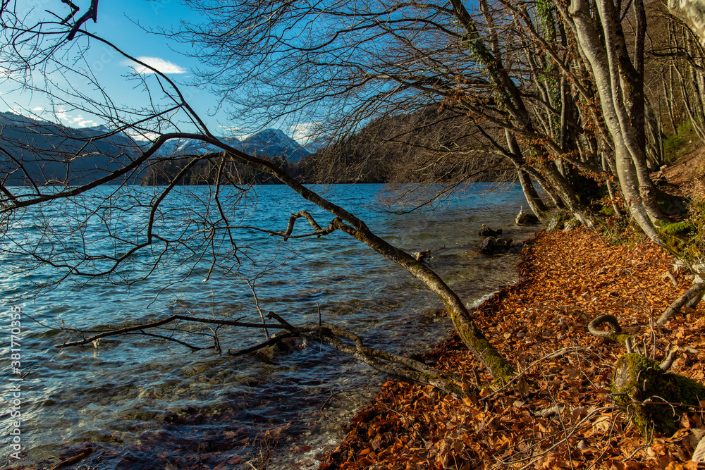 rustic wilderness shore line of pond lake in autumn golden season park outdoor environment space in October day rustic wilderness shore line of pond lake in autumn golden season park outdoor environment space in October day